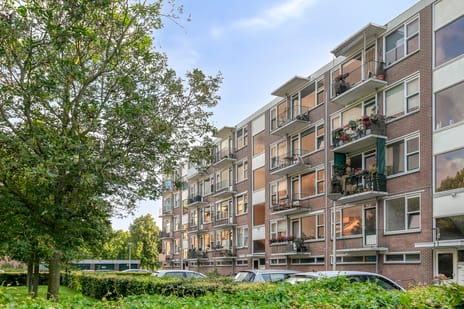 Beethovenlaan thumbnail