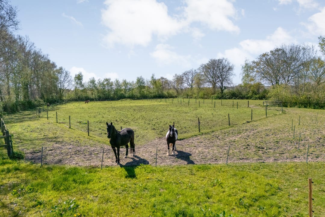 Photo 16 of Thijendijk 12