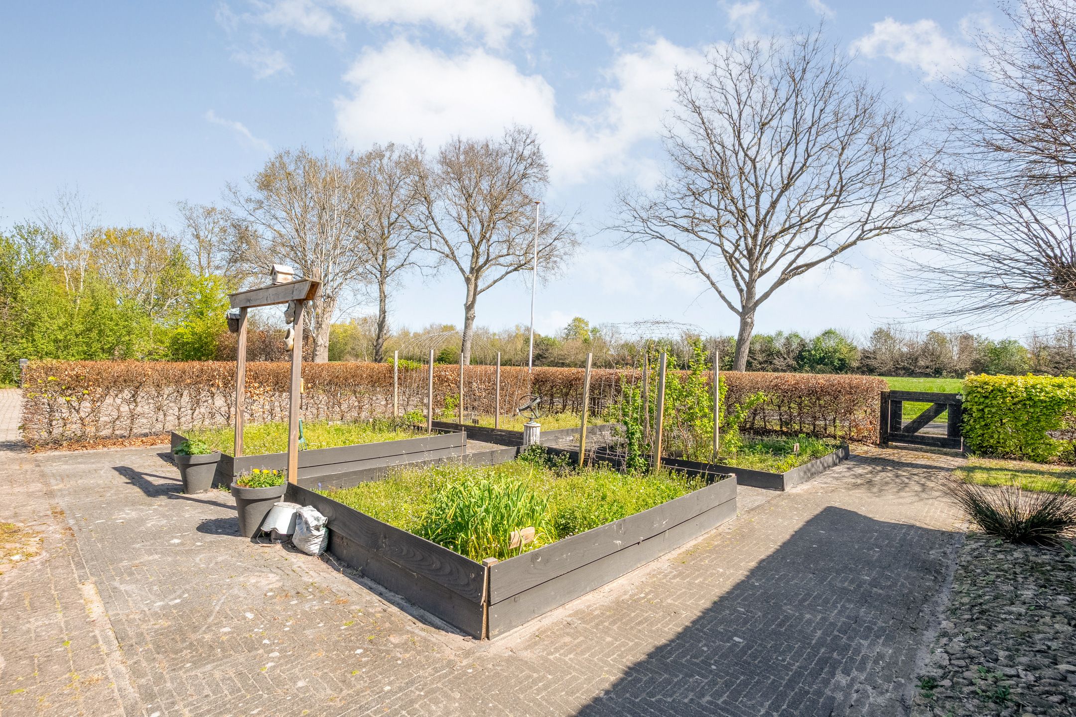 Photo 27 of Thijendijk 12