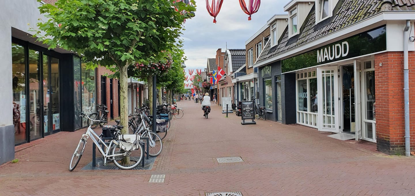 Bekijk foto 4 van Tolberterstraat 29-II