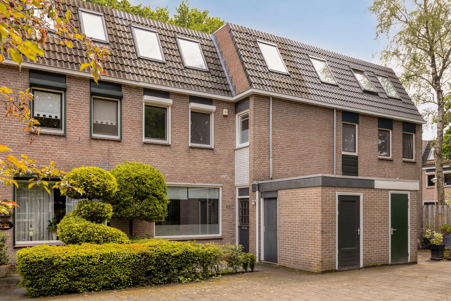 Foto 1 van Johan Frisopark 20
