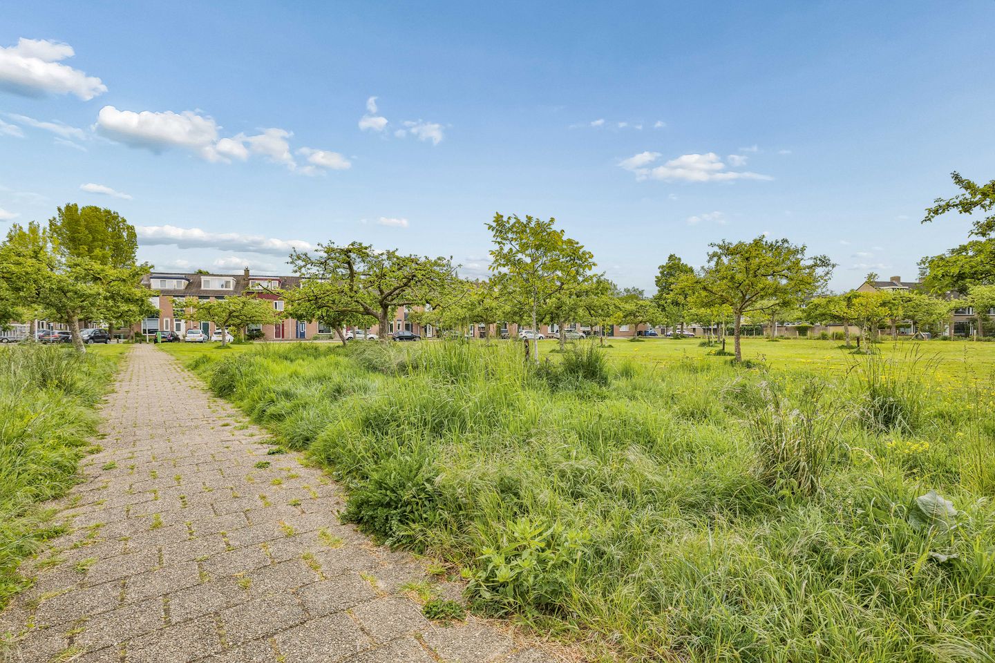 Foto 44 van Prins Clausstraat 29