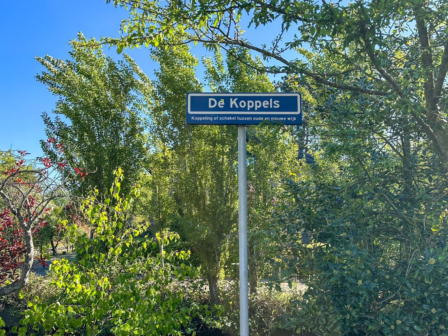 Foto 49 van De Koppels 14