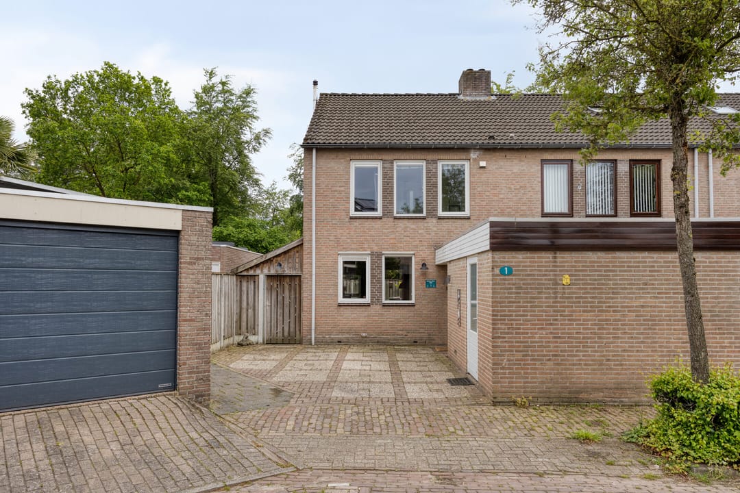 Foto 1 van Schutsboom 1