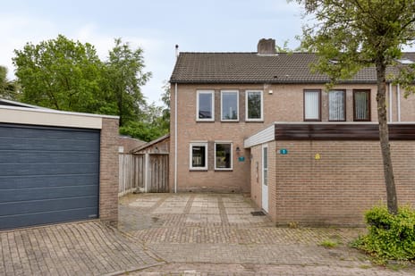 Schutsboom thumbnail