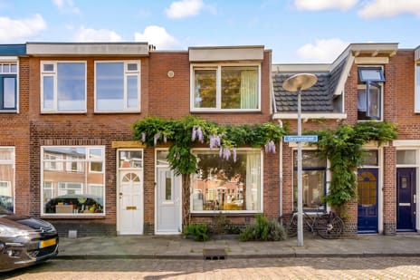 Chrysantstraat thumbnail