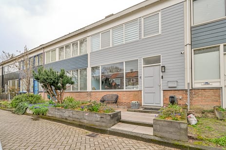 Spechtstraat thumbnail