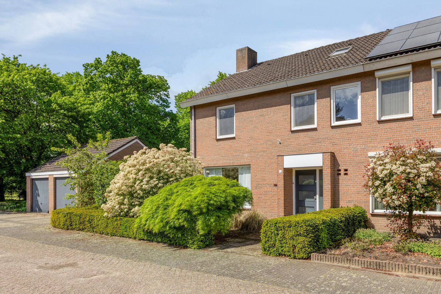 Foto 1 van Meidoorn 22