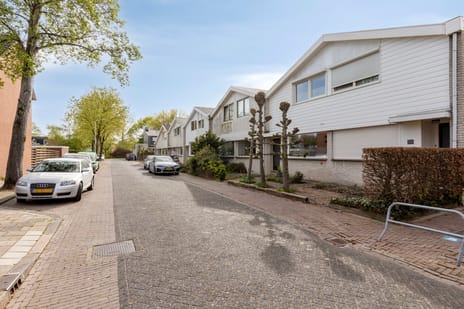 Van Hallstraat thumbnail