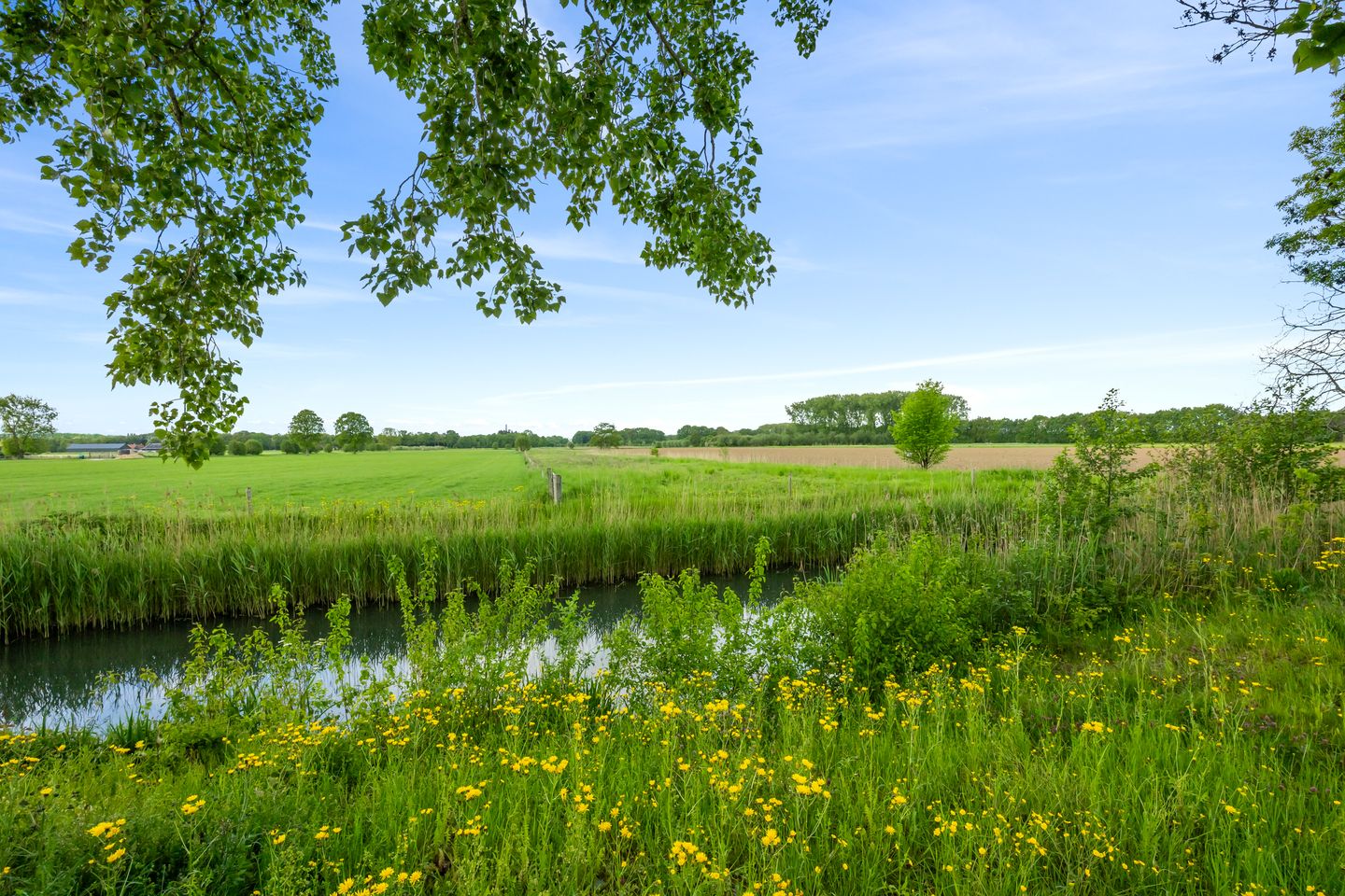 Photo 35 of Couwenhoven 4501