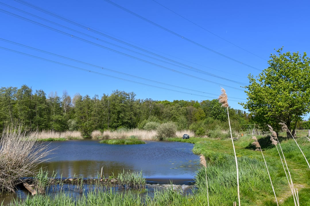 Photo 46 of Kinkhoven 16