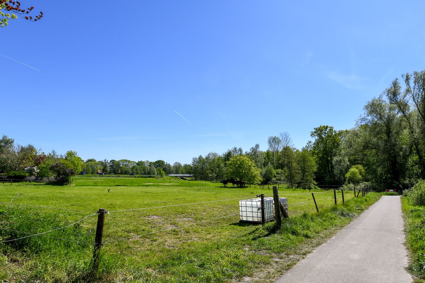Photo 50 of Kinkhoven 16
