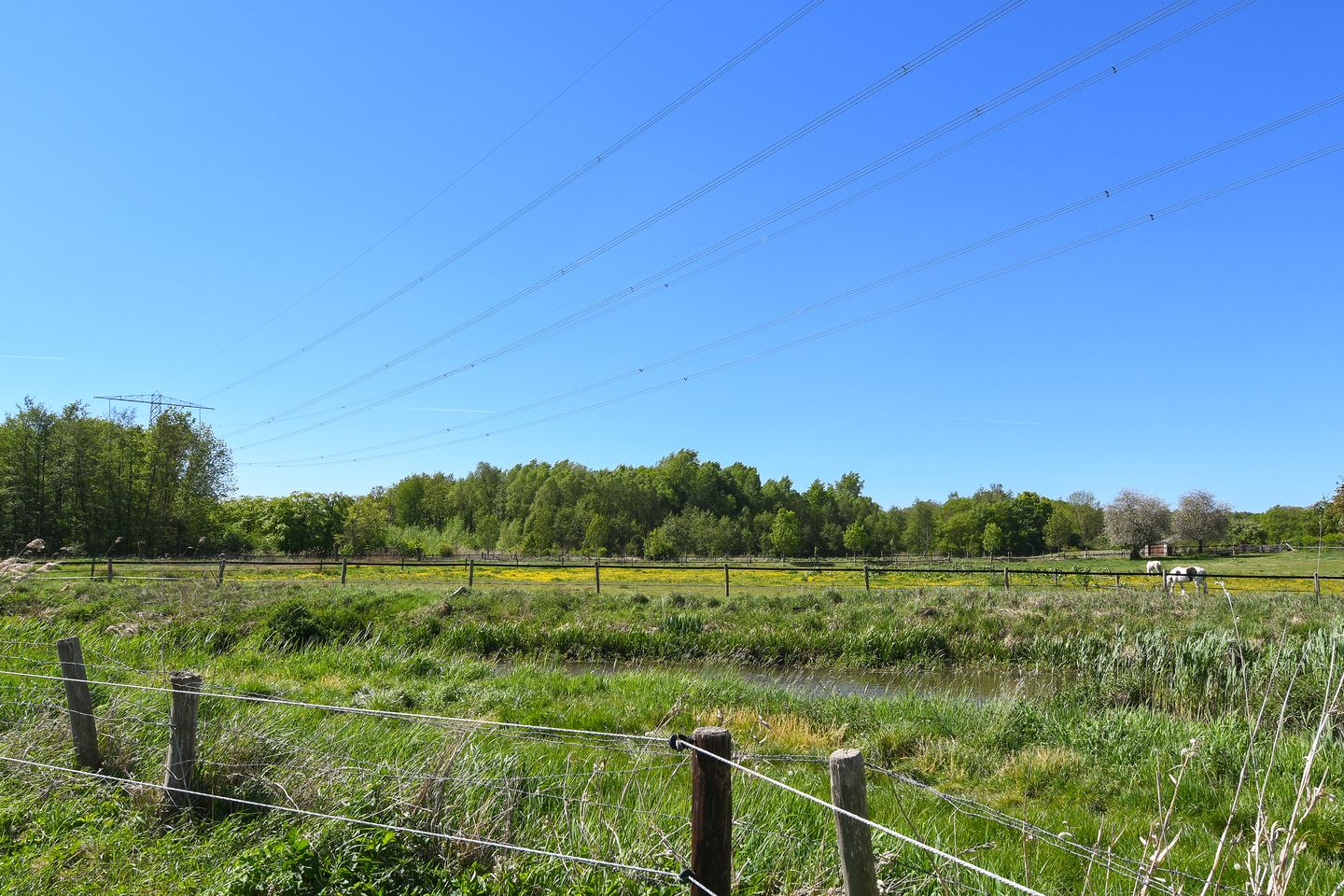 Photo 49 of Kinkhoven 16