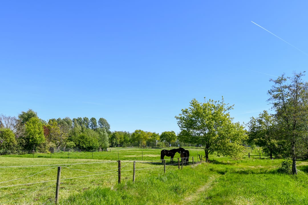 Photo 52 of Kinkhoven 16