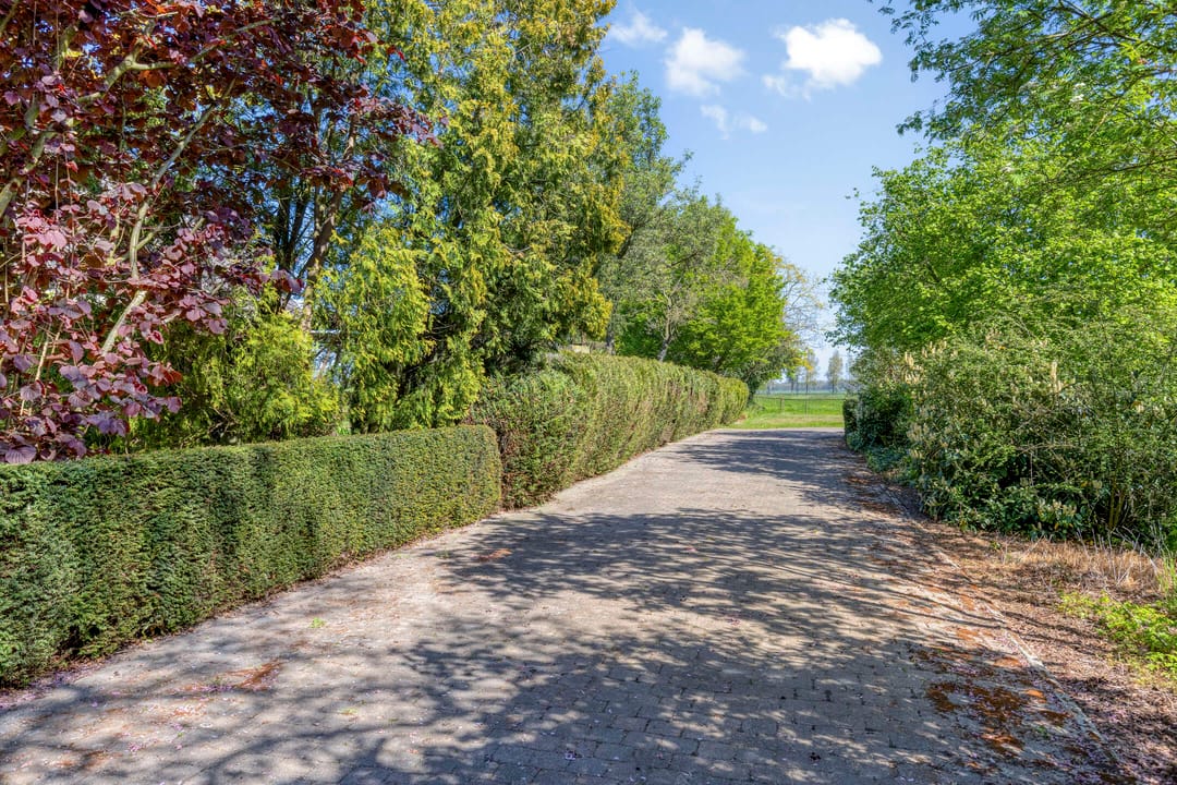 Photo 83 of Broekstraat 41