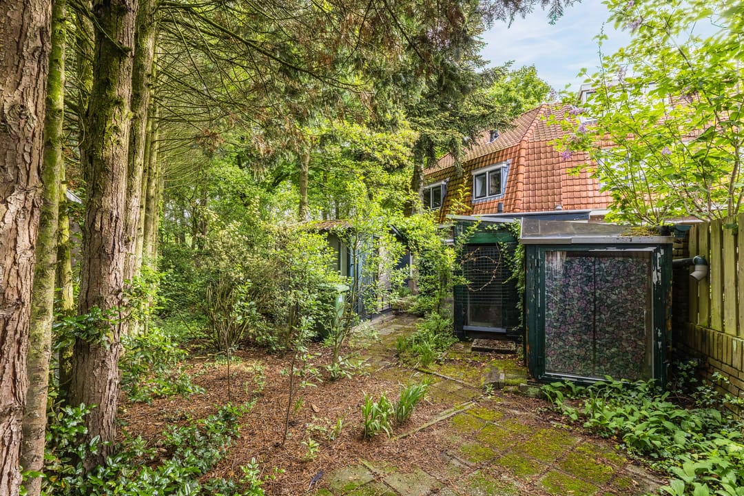 Photo 17 of Willemstraat 34