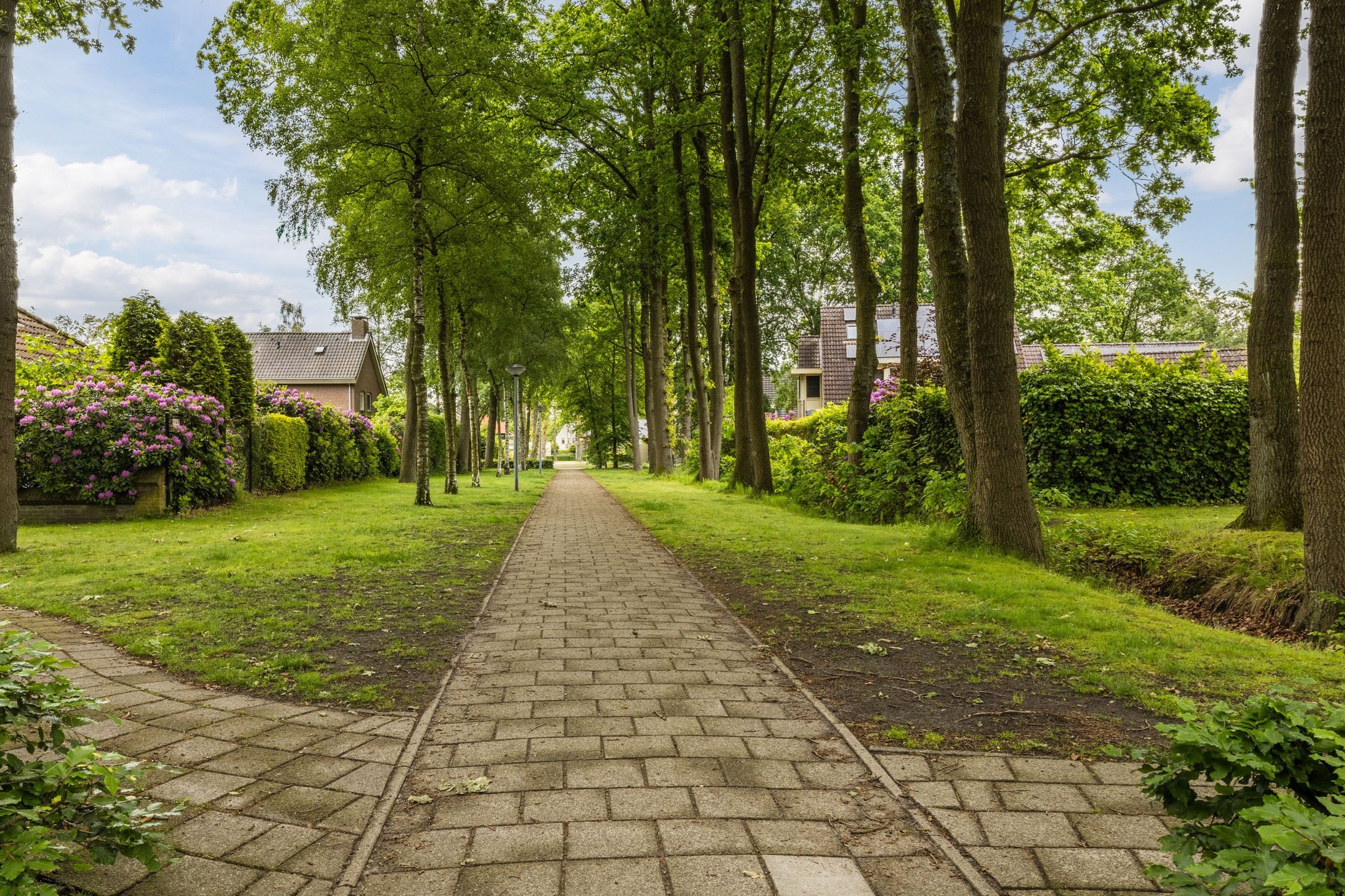 Photo 21 of Willemstraat 34