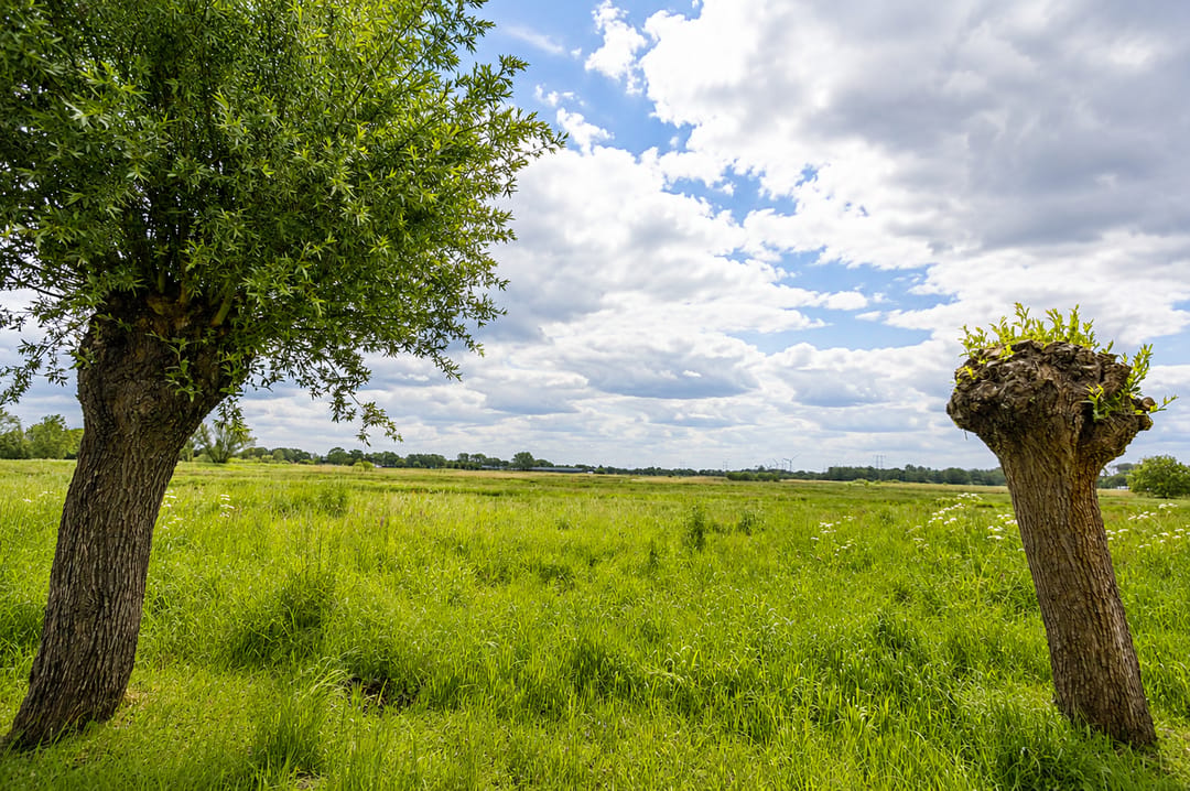 Photo 53 of Griete Veldeke 7