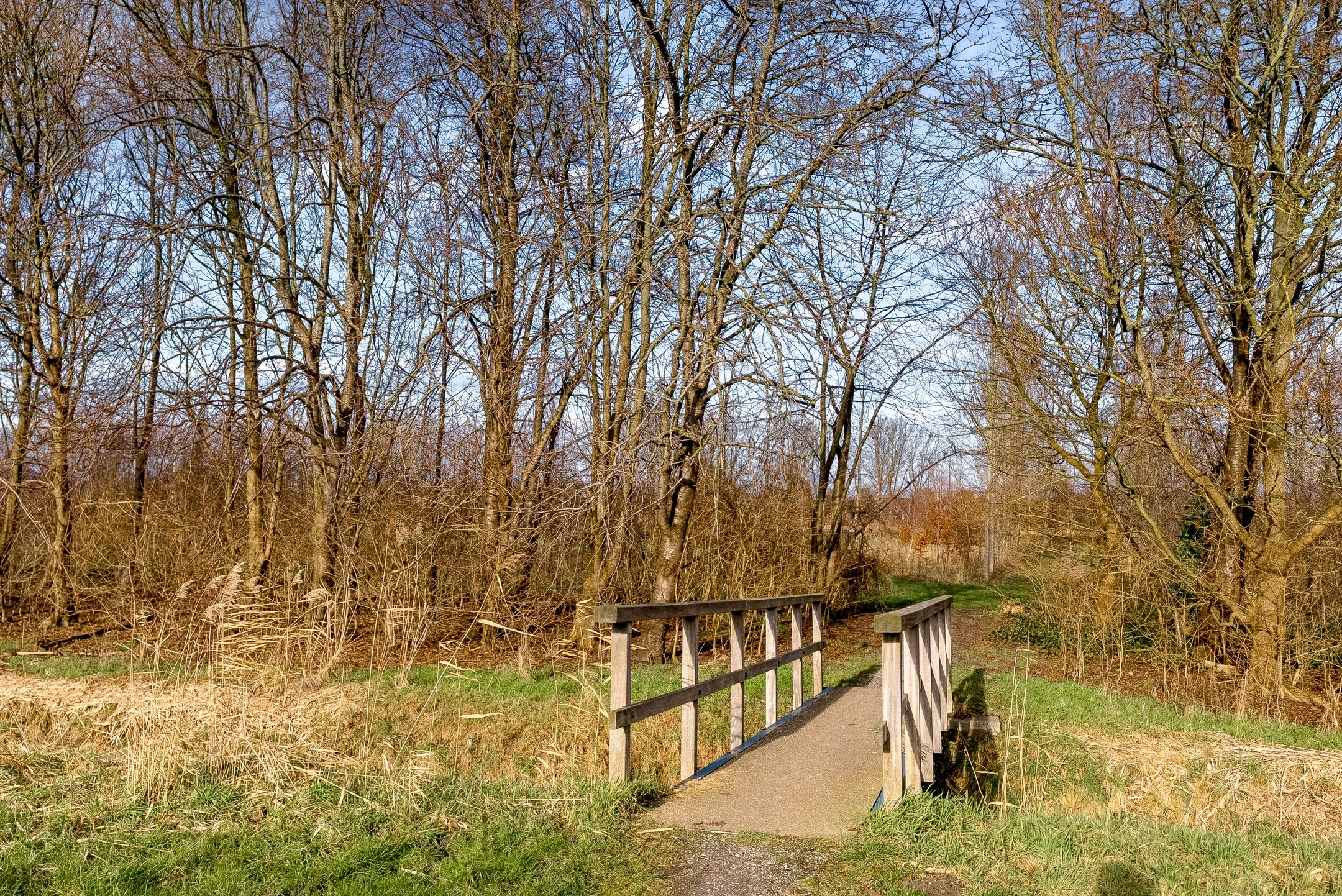 Photo 69 of Carel Willinklaan 18