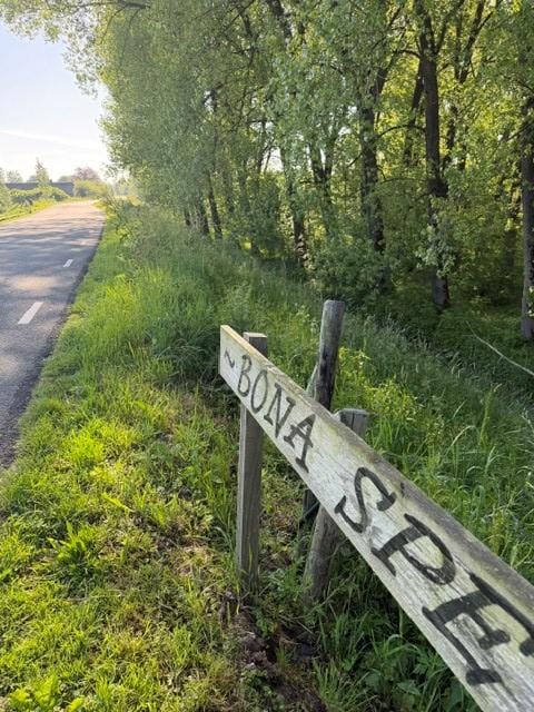 Foto 18 van Lingedijk