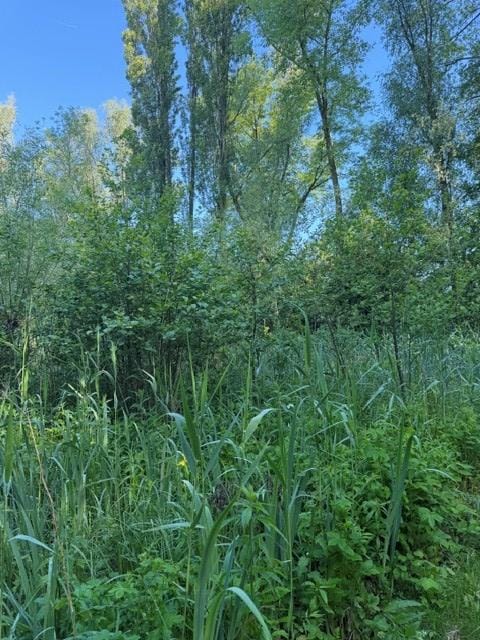 Foto 14 van Lingedijk