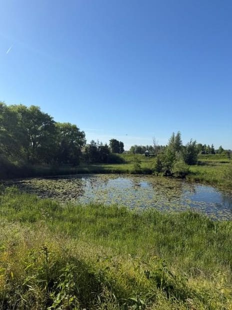 Lingedijk thumbnail