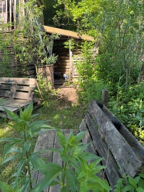Foto 2 van Lingedijk