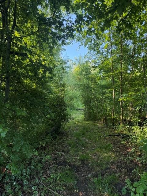 Foto 17 van Lingedijk