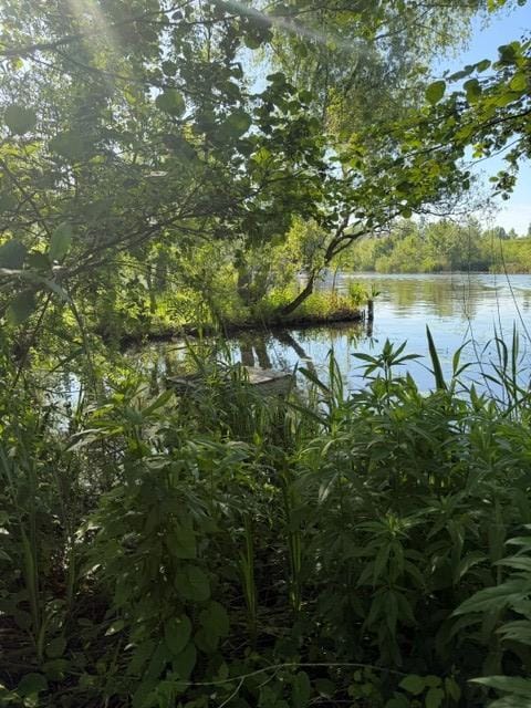 Foto 10 van Lingedijk