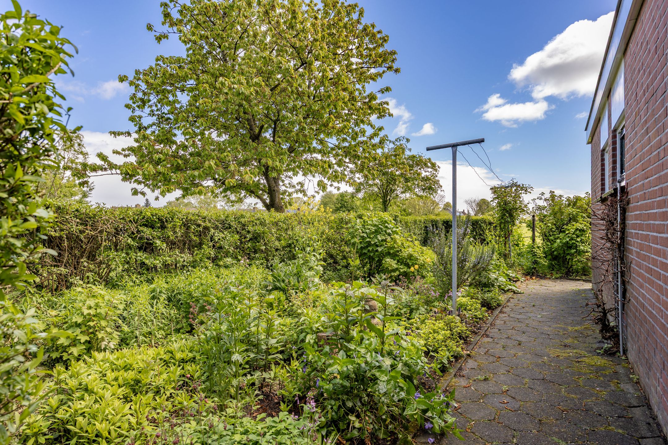 Photo 63 of Provincialeweg 19-A