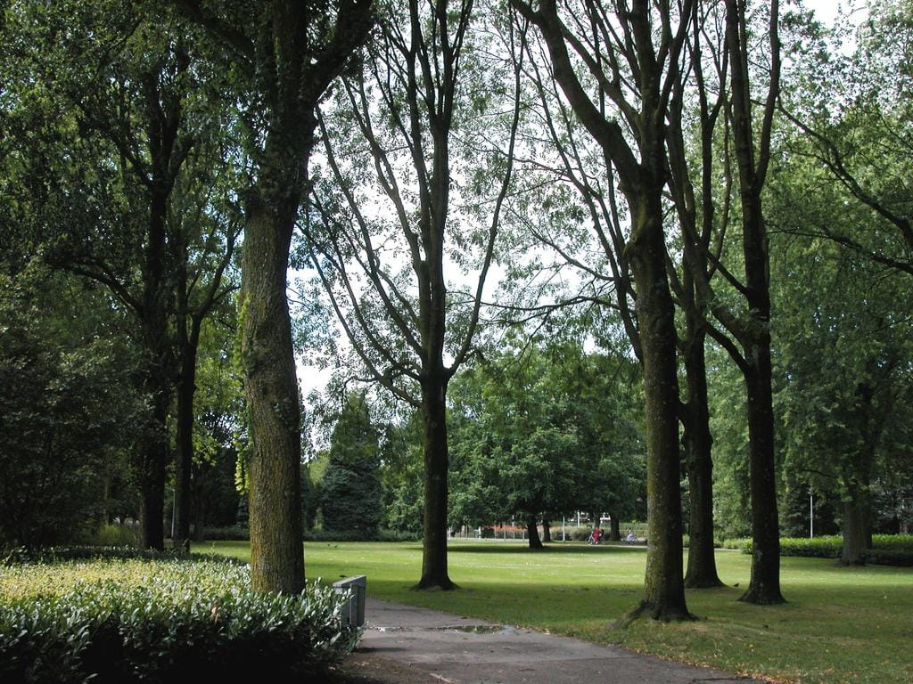 Photo 7 of Postelse Hoeflaan 142