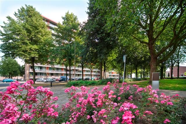 Foto 5 van Postelse Hoeflaan 142