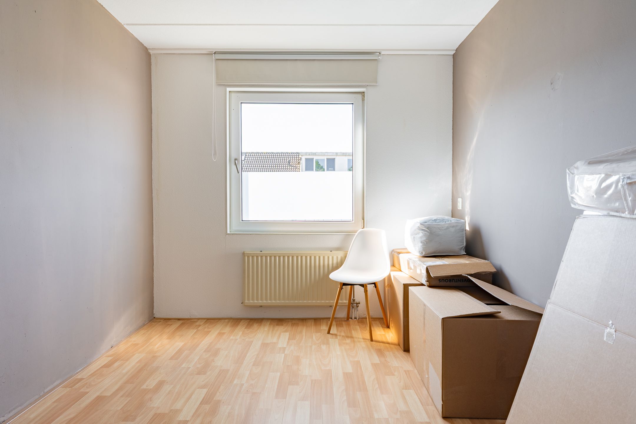 Photo 24 of Houtduif 2