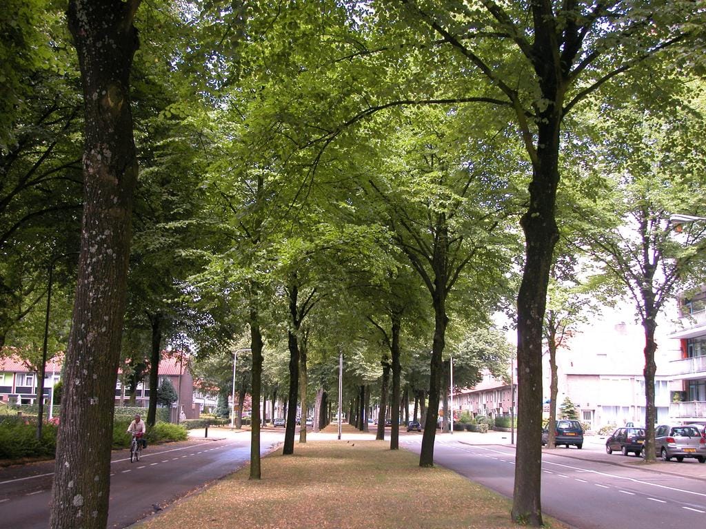 Photo 6 of Postelse Hoeflaan 142