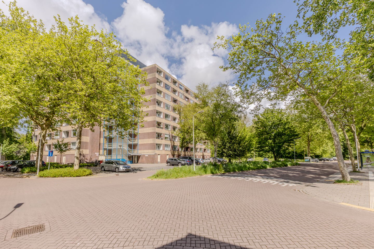 Foto 10 van Fluitekruidweg 131