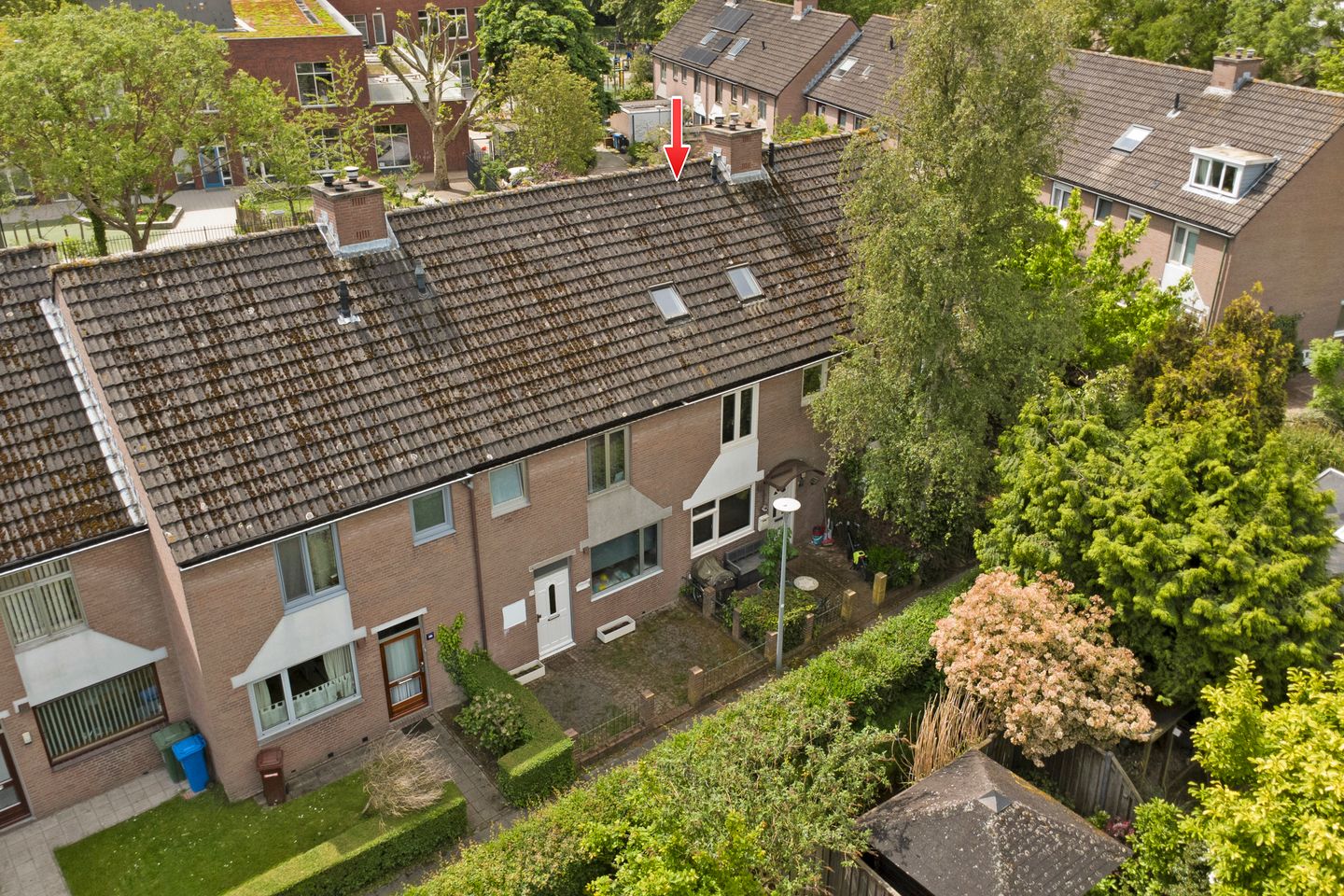 Foto 1 van Specht 25