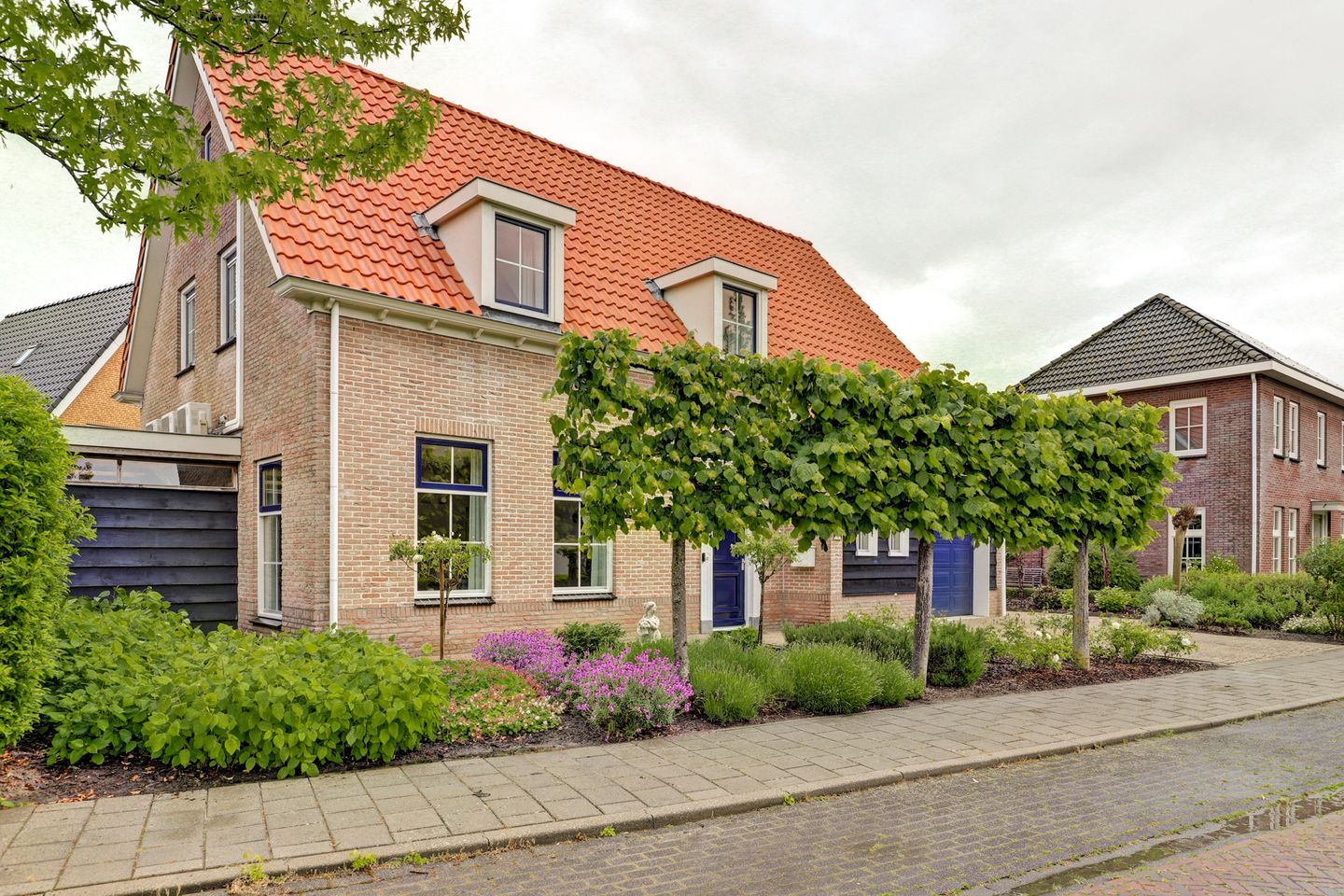 Photo 50 of Boterbloem 11