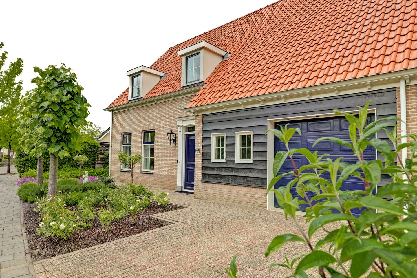 Photo 49 of Boterbloem 11