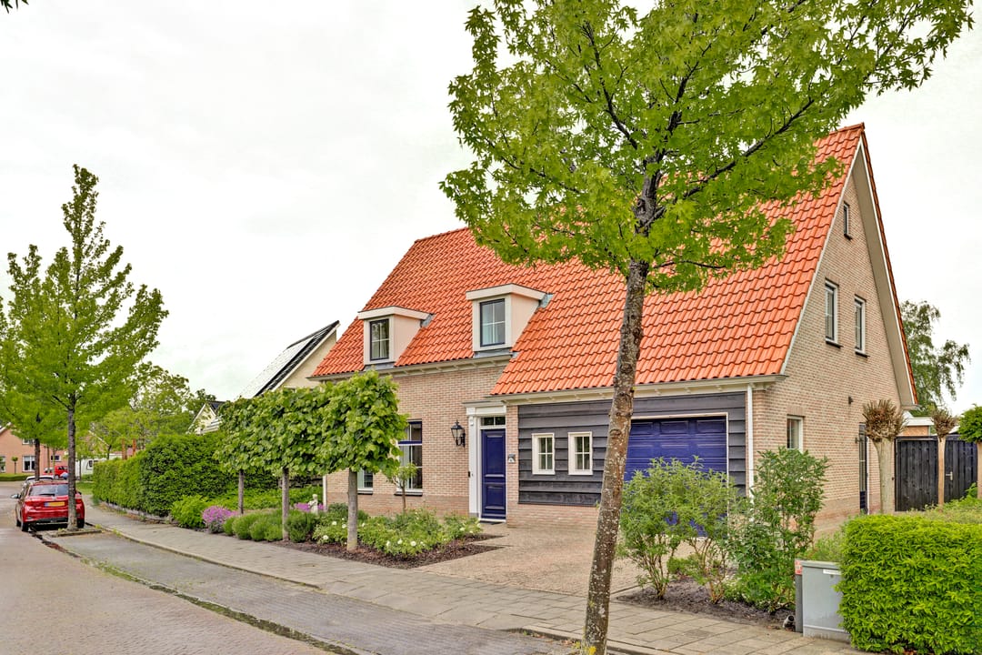 Photo 1 of Boterbloem 11