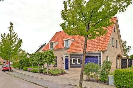 Boterbloem thumbnail