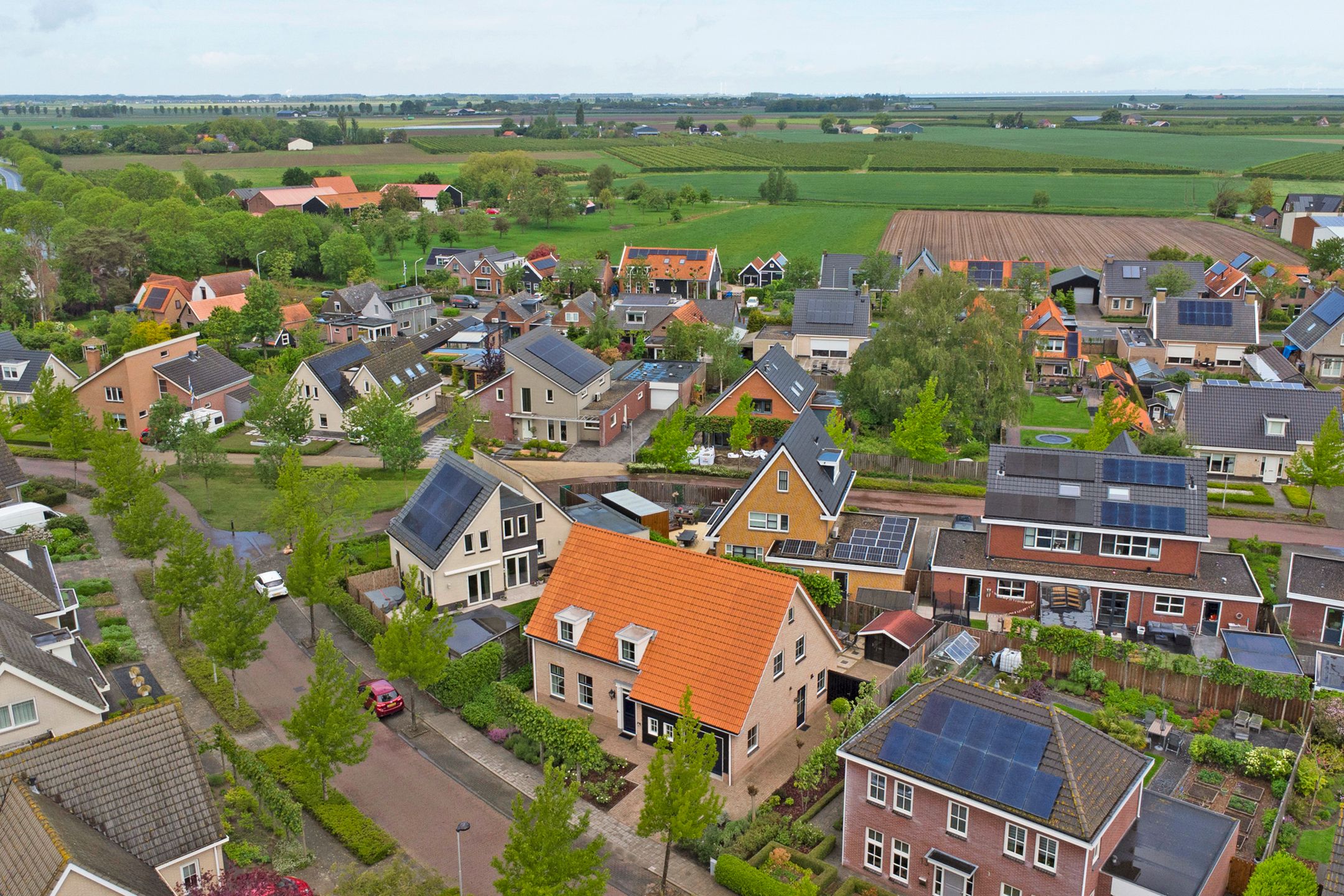 Photo 54 of Boterbloem 11