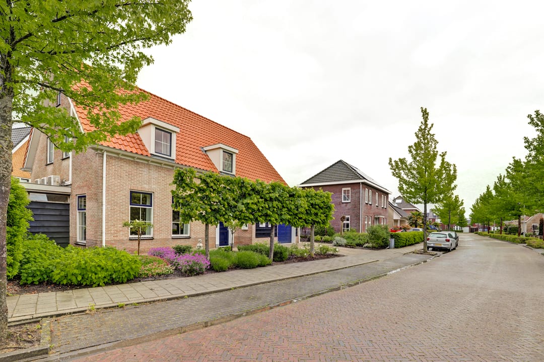 Photo 52 of Boterbloem 11