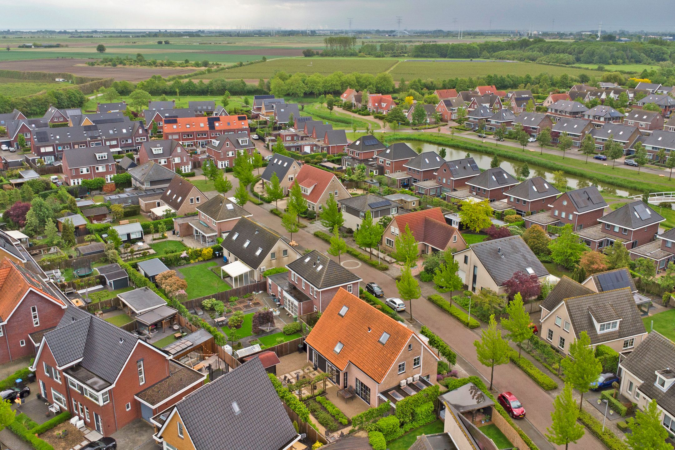 Photo 57 of Boterbloem 11