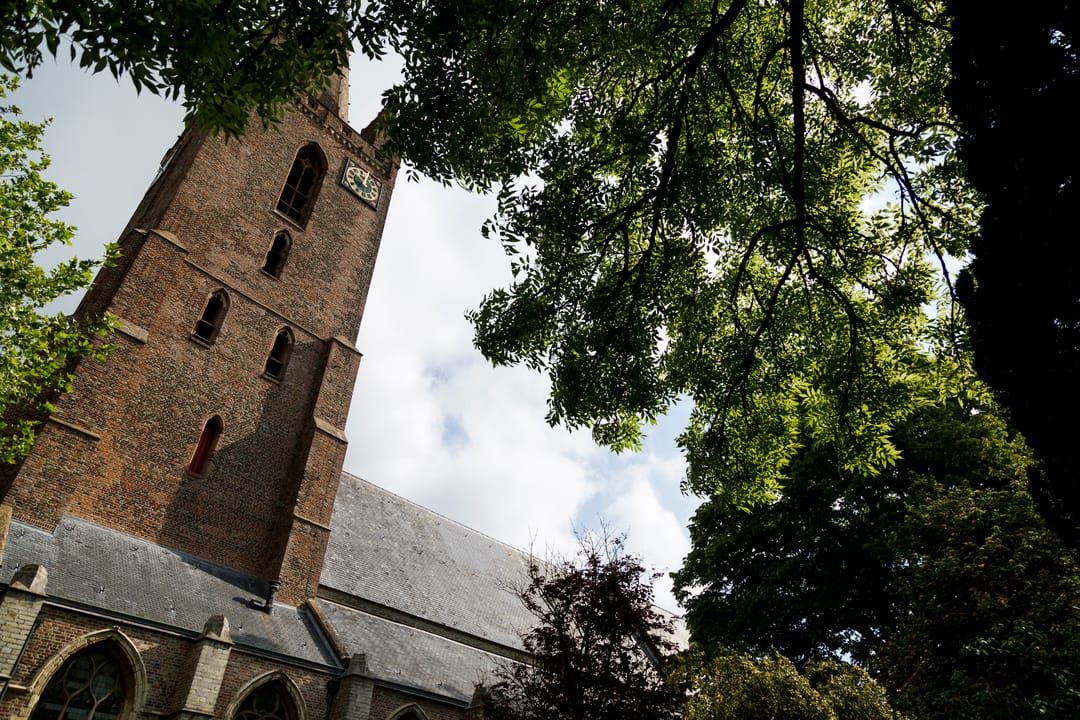 Photo 61 of Boterbloem 11