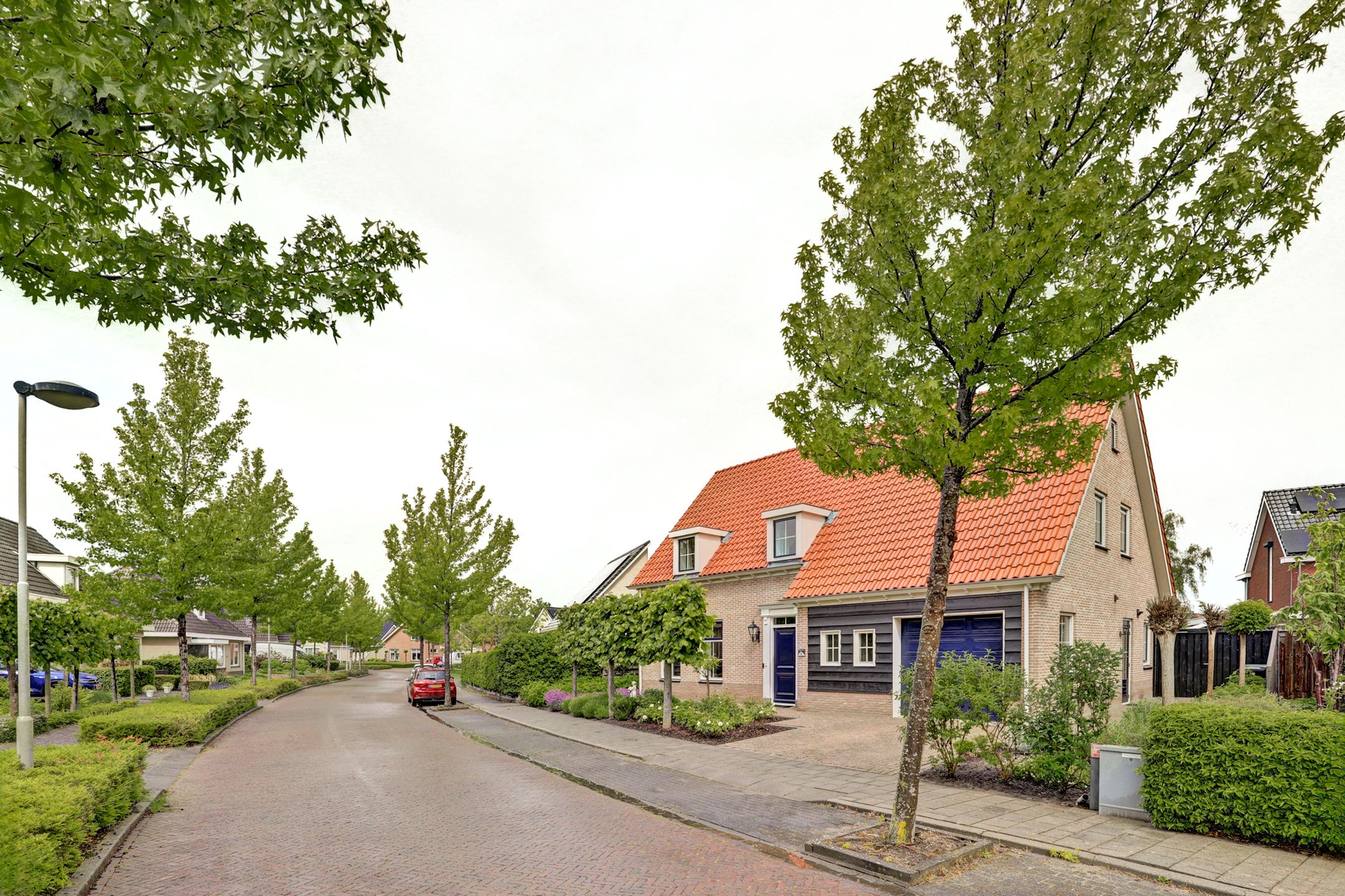 Photo 51 of Boterbloem 11
