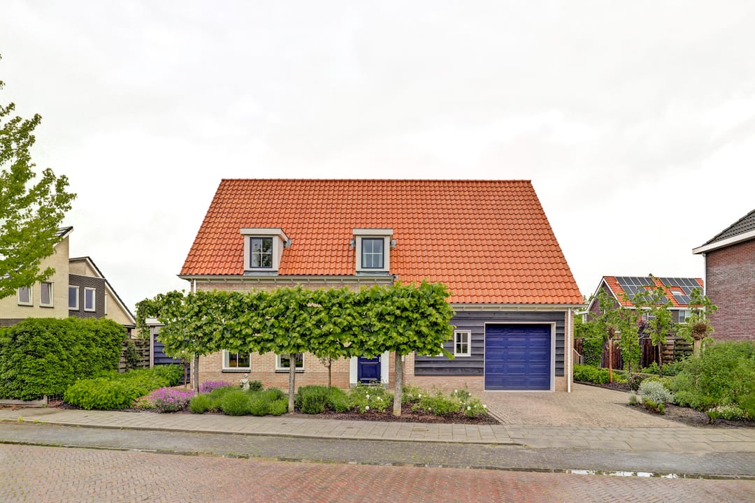 Photo 53 of Boterbloem 11