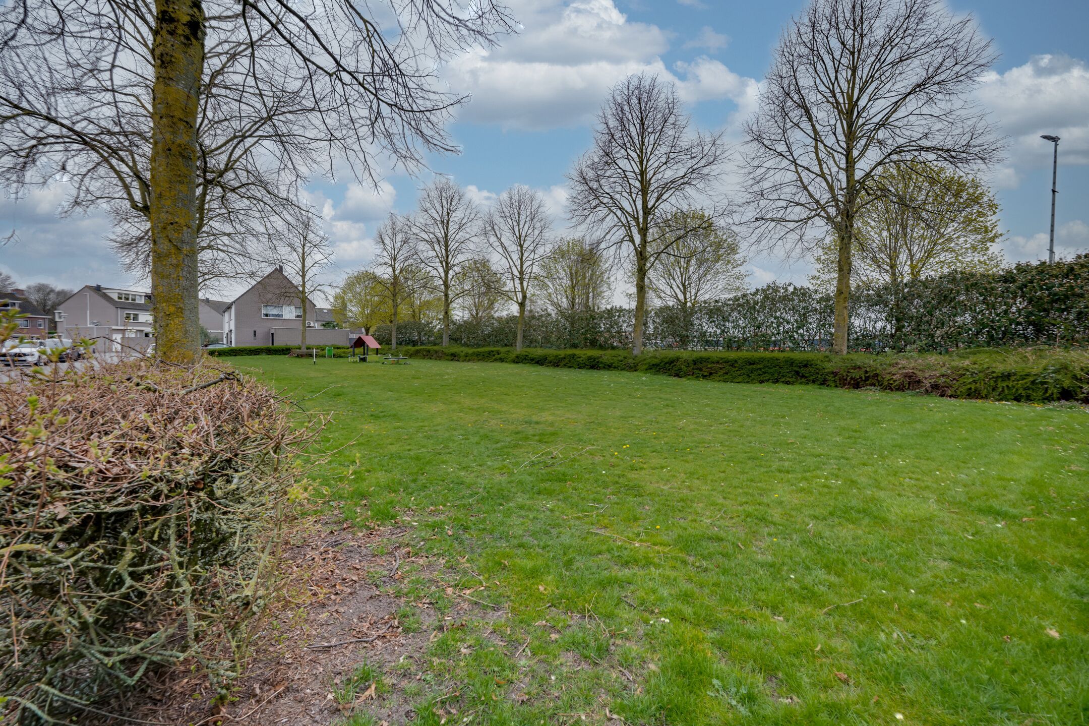 Photo 9 of Wijningsstraat 18