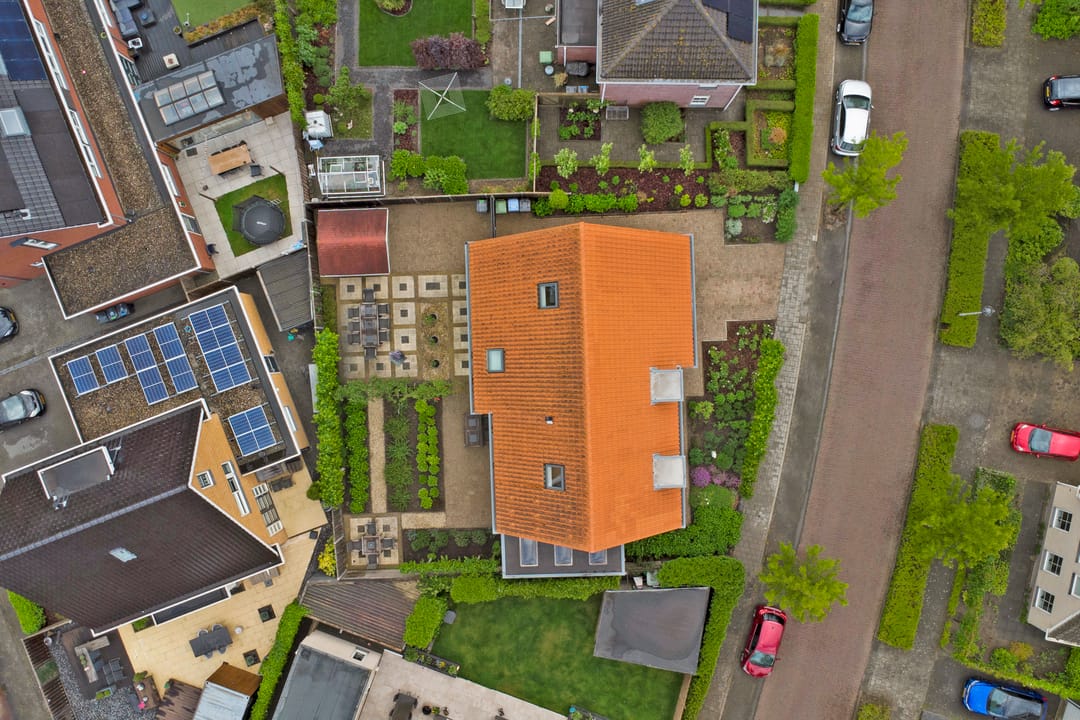 Photo 56 of Boterbloem 11