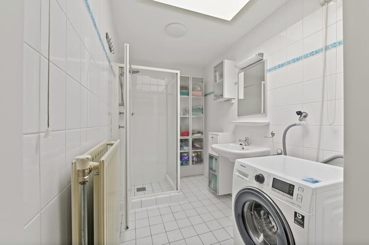 Foto 5 van Fluitekruid 48