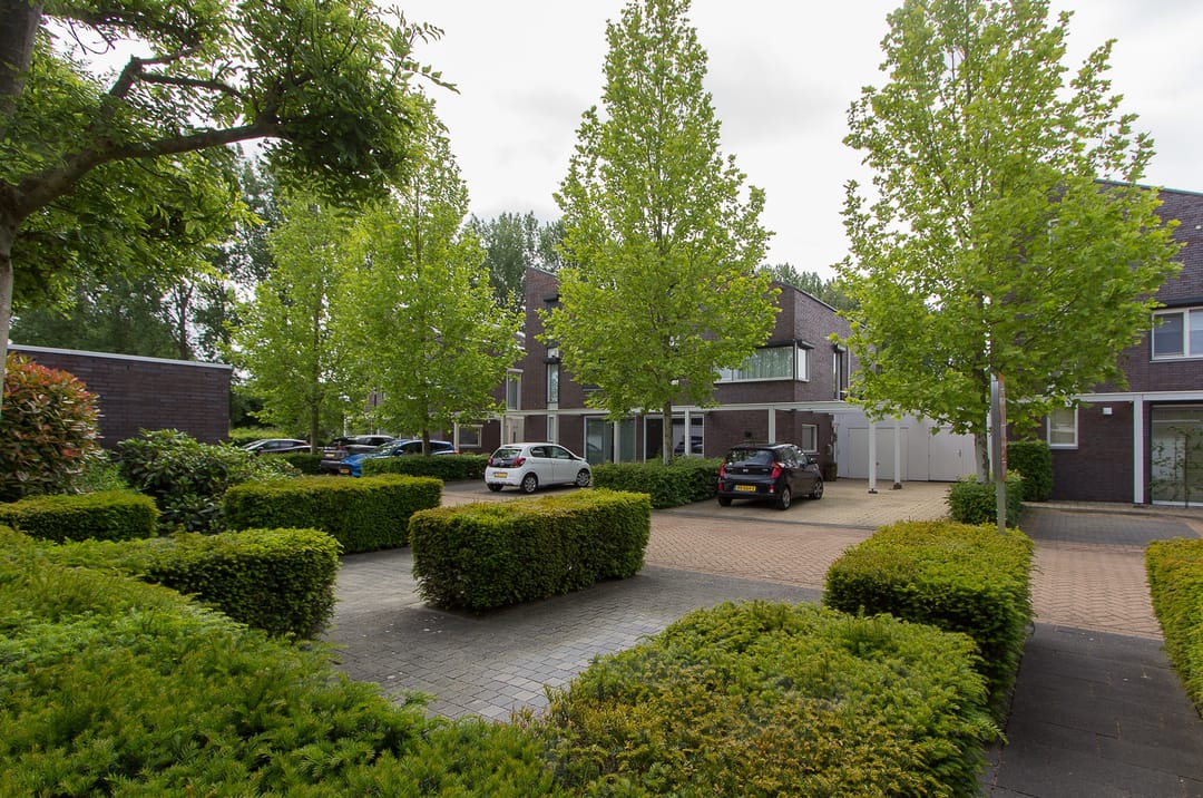 Foto 8 van Wulp 14